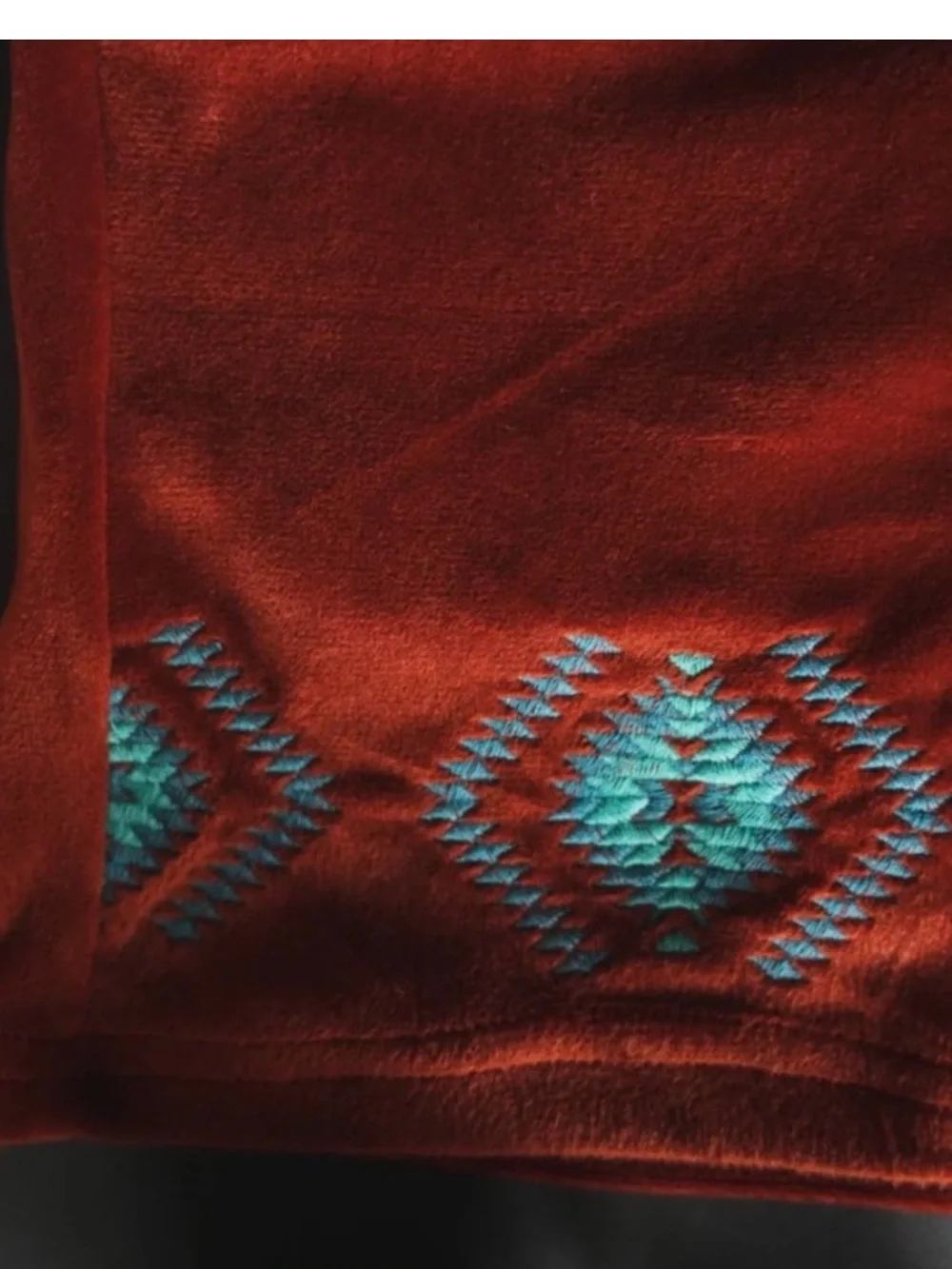 Velvet Aztec Embroidered Shorts_3